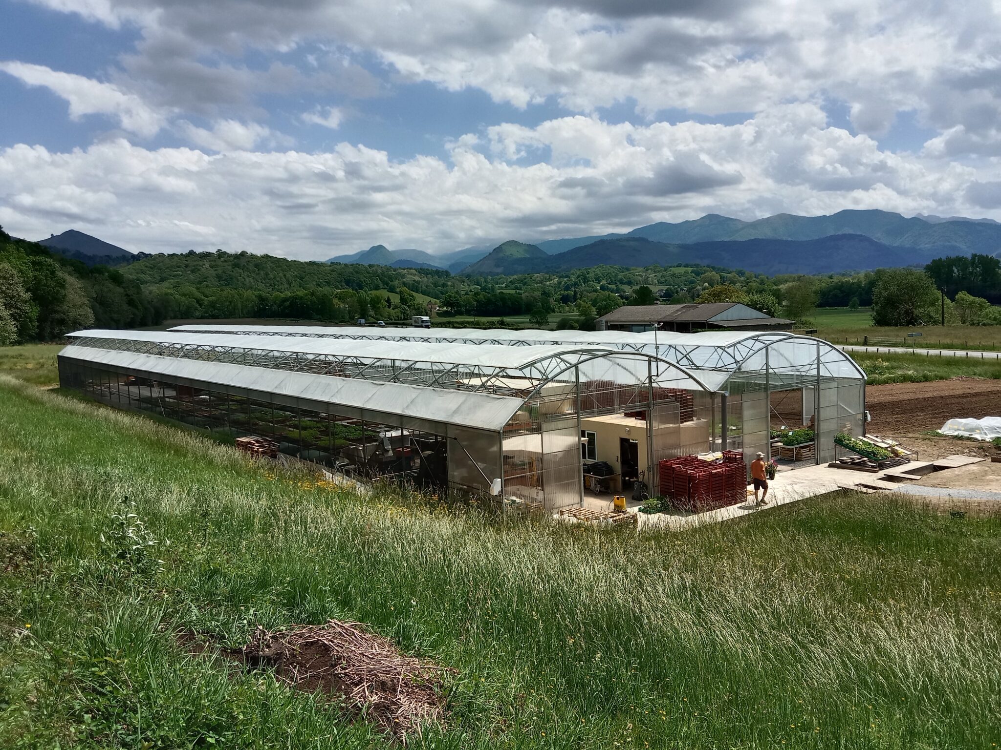 Photo des serres du GAEC ANCIA au printemps à Sauguis. En arrière plan les Pyrénées et le pic d'Orhy. Belle lumière et ciel bleu contrasté avec des nuages.