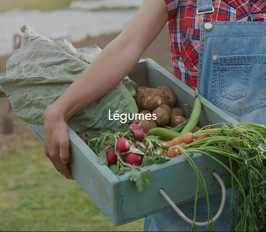 photo carré du coté droit du buste d'une femme dont on ne voit pas le visage. Chemise à carreaux rouge et salopette bleue. Son bras porte appuyé contre sa hanche une caissette en bois bleu vert délavé contenant des légumes (radis, carottes, pomme de terre, feuilles de chou et fèves. Texte légumes en blanc.