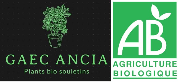 GAEC ANCIA – Pépinière horticole bio