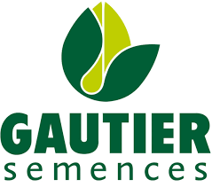 Logo du semencier GAUTIER texte Gautier semences en vert foncé sur fond blanc. Illustration au dessus en forme de graine vert clair avec 2 sépales vert foncé.