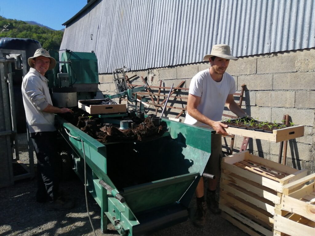 photo des deux associés du GAEC ANCIA en pleine activité autour de la rempoteuse.