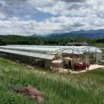Photo des serres du GAEC ANCIA au printemps à Sauguis. En arrière plan les Pyrénées et le pic d'Orhy. Belle lumière et ciel bleu contrasté avec des nuages.