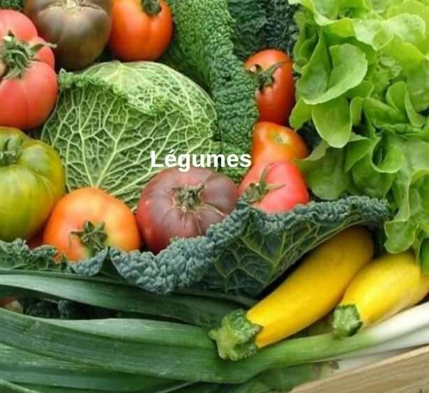 Photo de légumes d'été variés