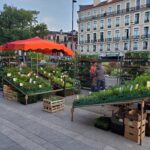 Photo du stand du GAEC ANCIA au Marché de Pau au printemps 2026